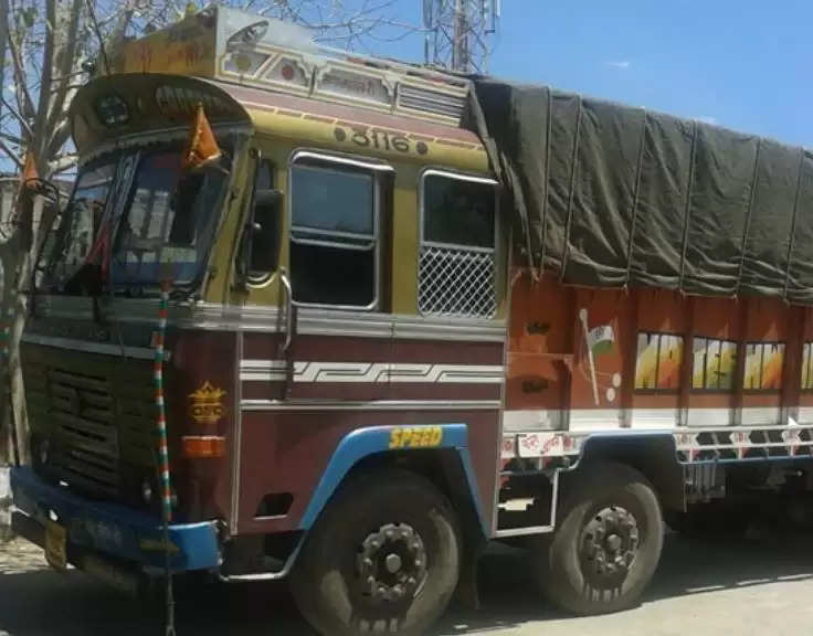 illegal truck load of amla seized by forest department udaipur