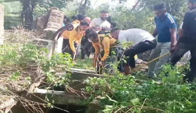cow fell in well