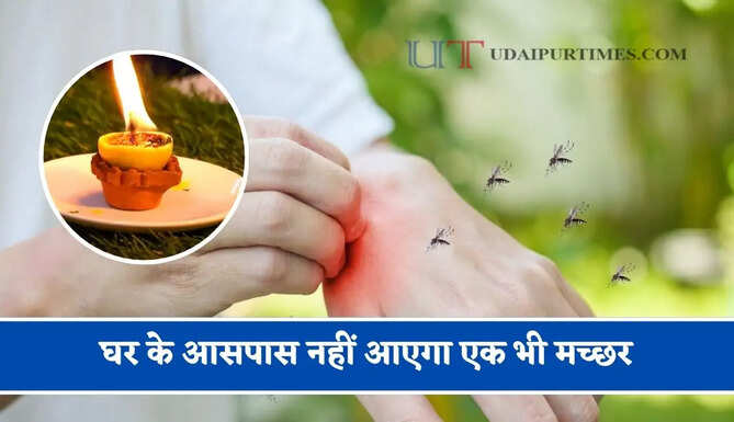 घर के आसपास नहीं आएगा एक भी मच्छर, नींबू के छिलके से कर लेंगे ये आसान उपाय