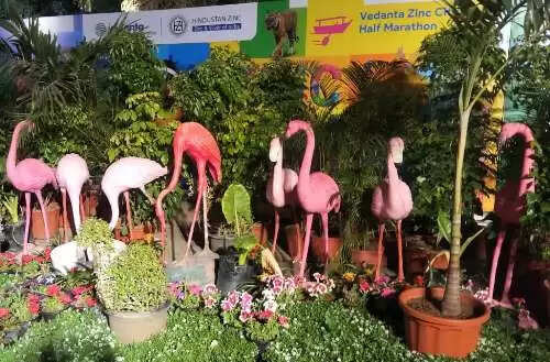 Flower Show