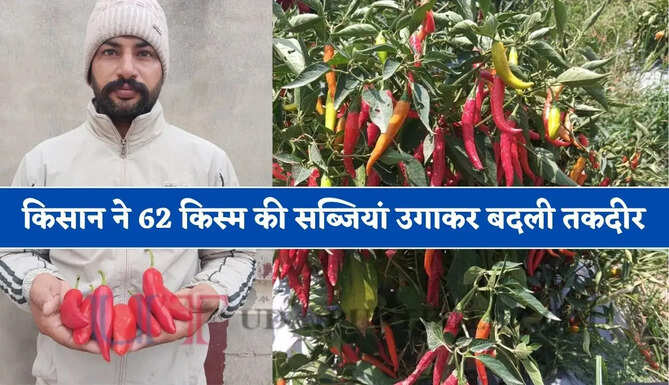 हरियाणा के किसान ने 62 किस्म की सब्जियां उगाकर बदली तकदीर, 5 एकड़ से हो रही लाखों में कमाई&nbsp;