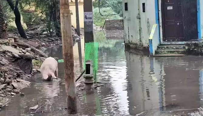 Drainage System Failing