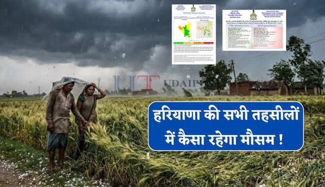 हरियाणा की सभी तहसीलों में कैसा रहेगा मौसम ! देखें कहां-कहां होगी बरसात ?