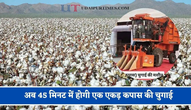 अब 45 मिनट में होगी एक एकड़ कपास की चुगाई, HAU हिसार ने बनाई डीजल से चलने वाली मशीन&nbsp;
