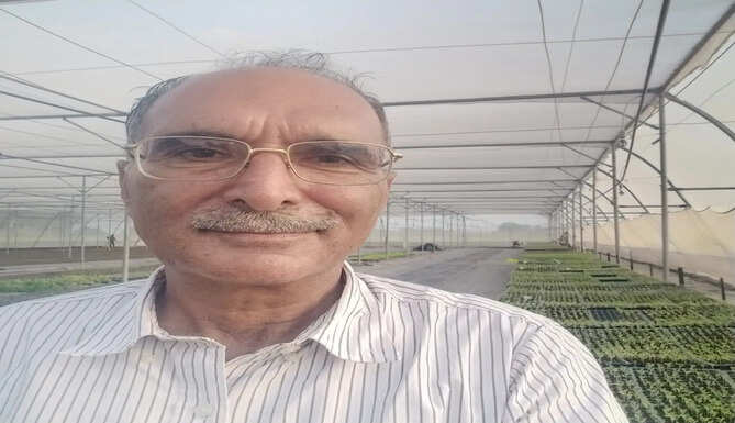हरियाणा के सिरसा जिले का ये किसान 15 लाख का कमा रहा मुनाफा, सालाना 8 से 10 लाख पौध तैयार कर रहे मुकेश