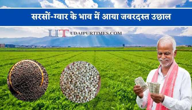 सरसों-ग्वार के भाव में आया जबरदस्त उछाल, देखें सभी मंडियों के नए रेट