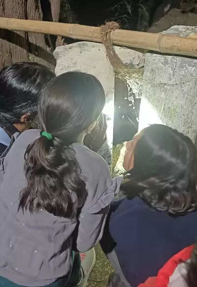 “Magical Night Walk for Children on Neemach Mata Hills | City of Birds Collective”