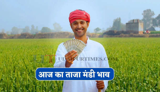 Mandi Bhav : सरसों-ग्वार के भाव में जबरदस्त तेजी, देखें सभी मंडियों के नए रेट
