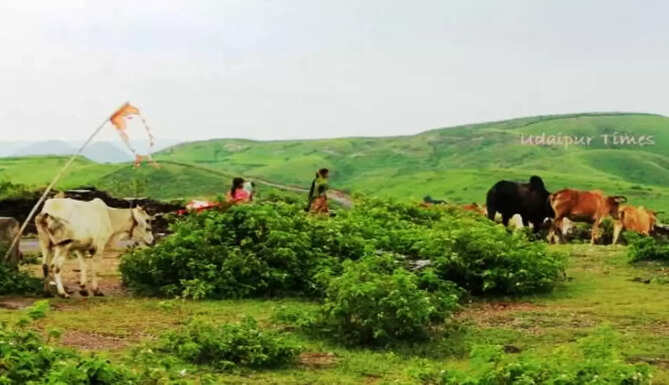 Aravali range