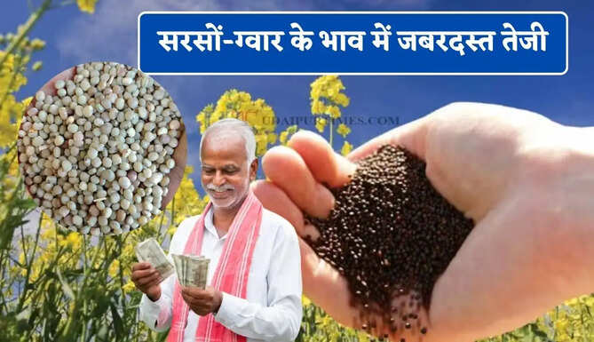  सरसों-ग्वार के भाव में जबरदस्त तेजी, देखें सभी मंडियों के नए दाम