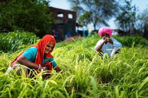 हिन्दुस्तान जिंक की समाधान परियोजना कोरोना संकट में किसानों को पहुंचा रही लाभ