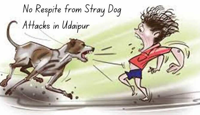 stray dogs