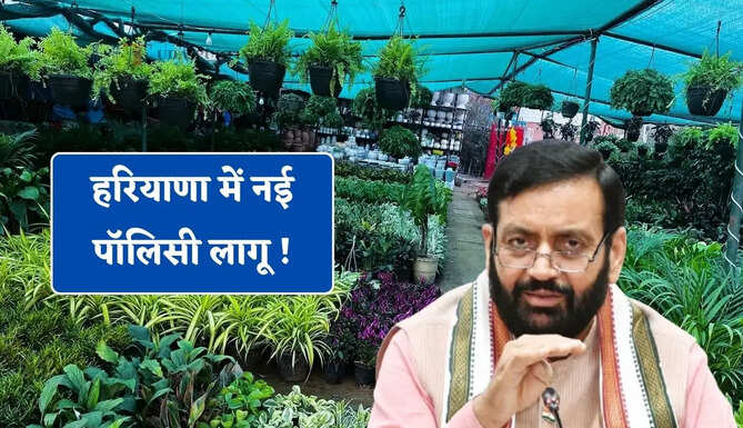 हरियाणा में नई पॉलिसी लागू ! बिना लाइसेंस नहीं चलेगी कोई भी नर्सरी, मनचाहे रेट पर लगेगी रोक&nbsp;