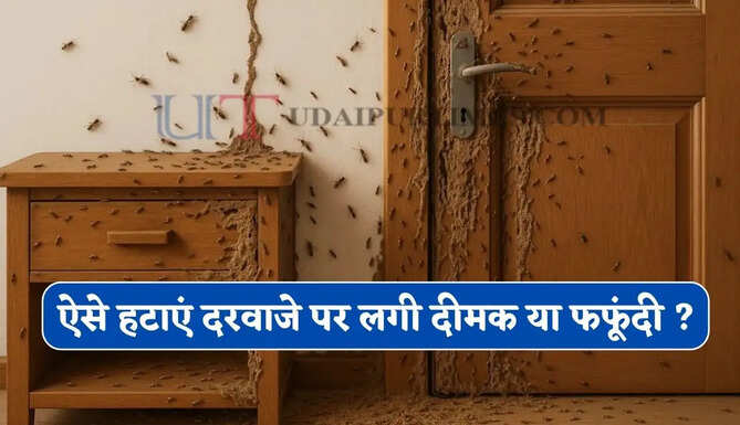 क्या आपके भी घर या ऑफिस के दरवाजे पर लग गई दीमक या फफूंदी ? इन आसान उपायों से मिलेगा छुटकारा