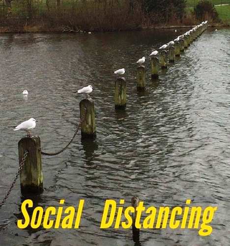 Social distancing is mandatory-Please DO NOT overstep the mandate