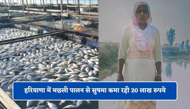 हरियाणा में मछली पालन&nbsp;से सुषमा कमा रही 20 लाख रुपये, ऐसे पाई सफलता&nbsp;