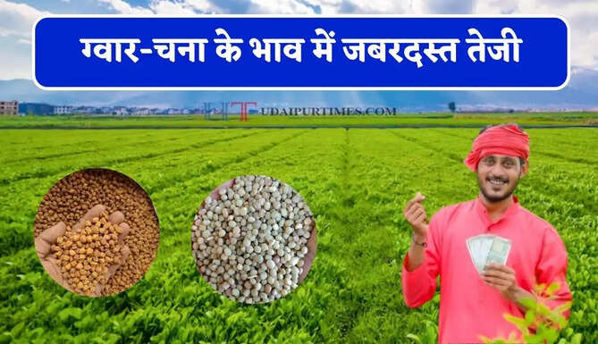 ग्वार-चना के भाव में जबरदस्त तेजी, देखें सभी मंडियों के नए रेट