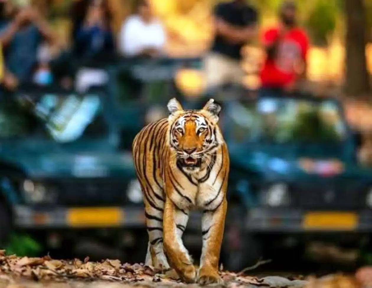 kumbhalgadh tiger reserve