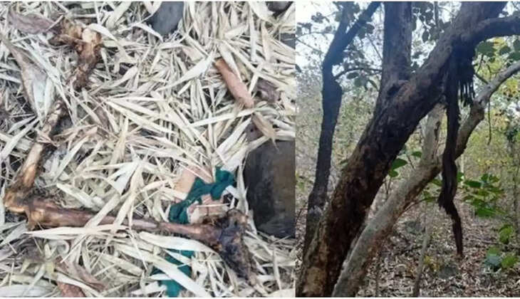 skull found 