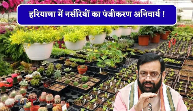 हरियाणा में नर्सरियों का पंजीकरण अनिवार्य ! बागवानी पौधशाला नियम 2026 लागू&nbsp;