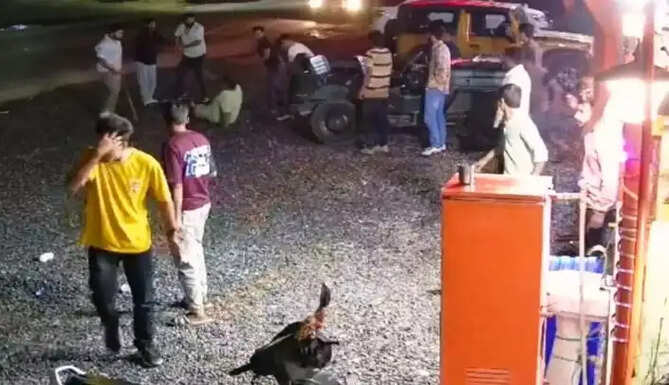 ruckus in balicha