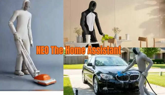 NEO robot
