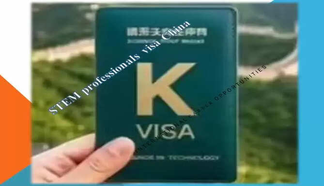 K visa china