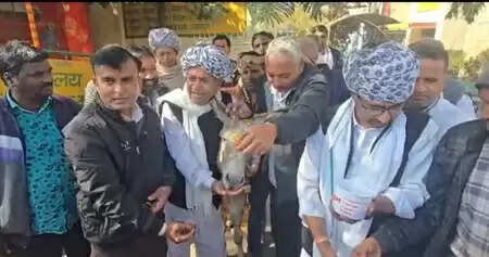 Farmers in Udaipur perform symbolic protest over severe urea fertilizer shortage and black marketing