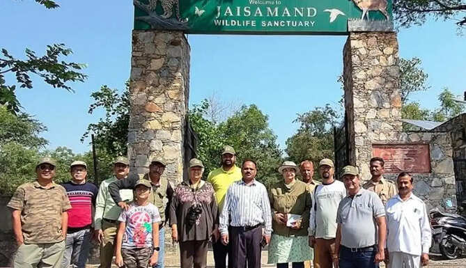 jaisamand leopard safari 