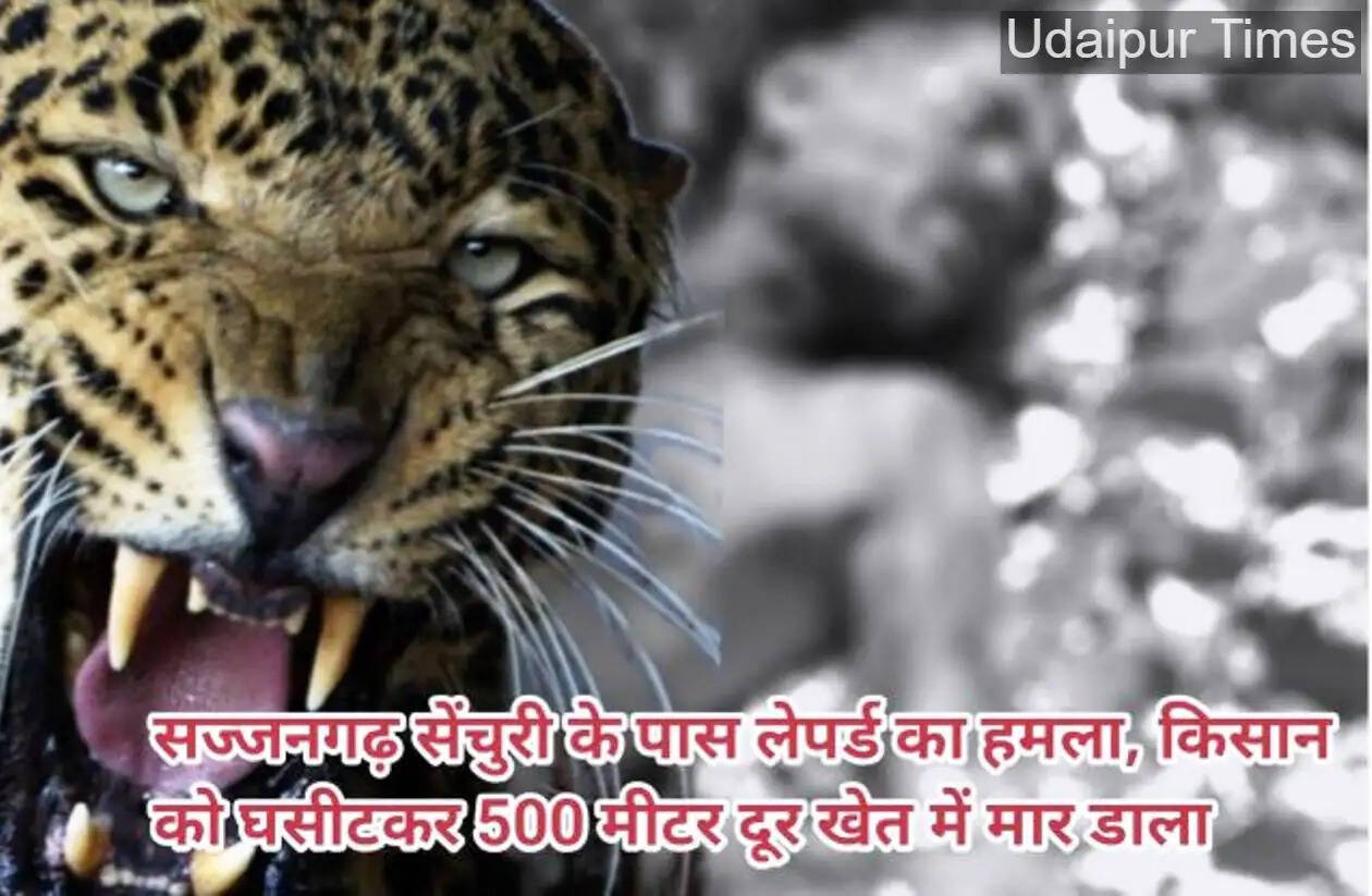 Leopard attack on farmer