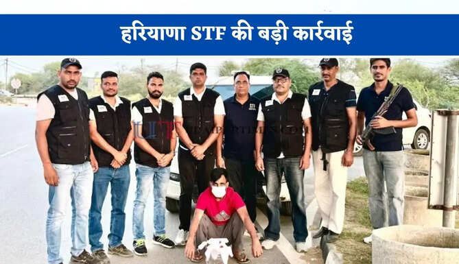 हरियाणा STF की बड़ी कार्रवाई, 5 लाख के इनामी मोस्ट वांटेड आरोपी को किया गिरफ्तार&nbsp;