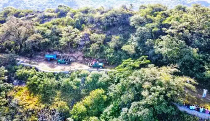 mount abu jungle safari