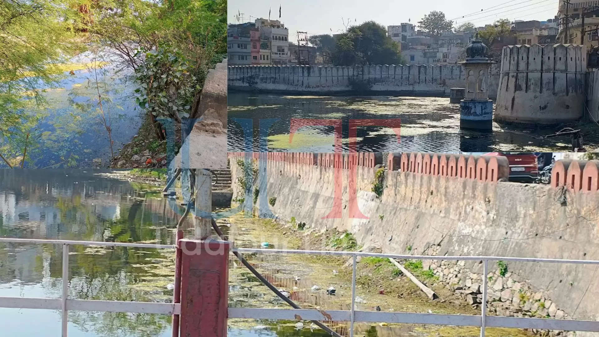Udaipur Lakes Pollution