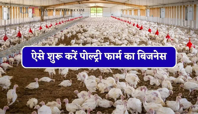ऐसे शुरू करें पोल्ट्री फार्म का बिजनेस, जाने इसके लिए कितने जमीन की पड़ेगी जरूरत ? जाने पूरा हिसाब&nbsp;
