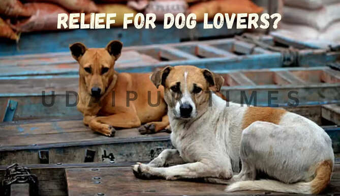stray dogs