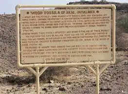 Fossil Park Jaisalmer
