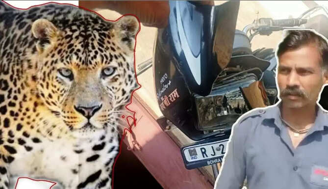 leopard attack on couple