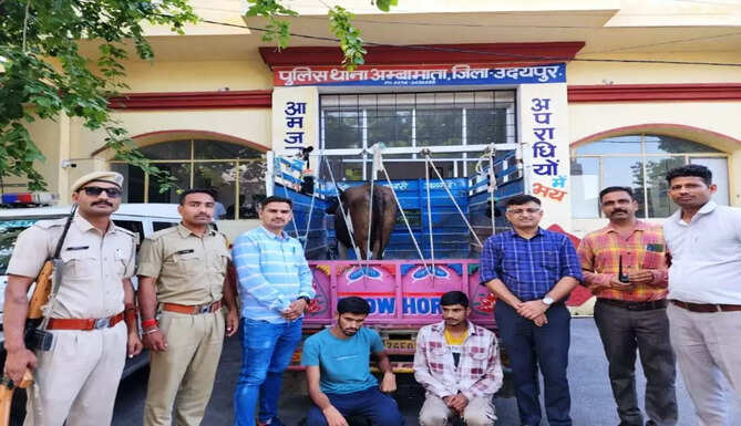 cow theft arrest