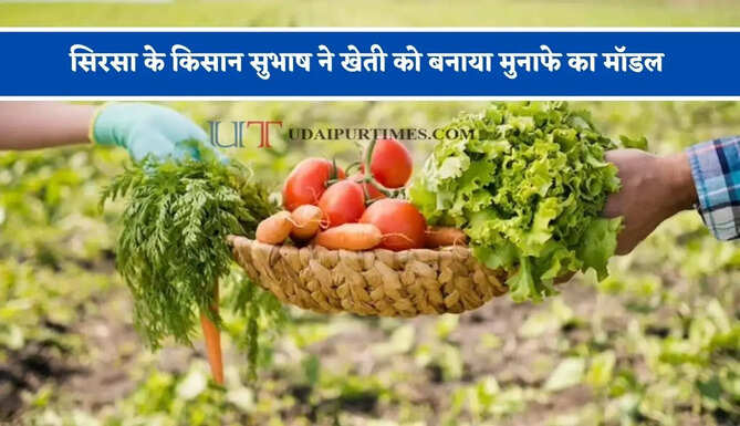 सिरसा के किसान सुभाष ने खेती को बनाया मुनाफे का मॉडल, आज करोड़ों रुपए तक पहुंचा सालाना टर्नओवर&nbsp;