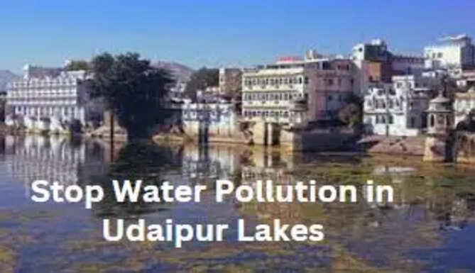 Water Pollution in Lakes