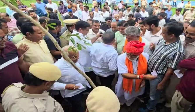 plantation