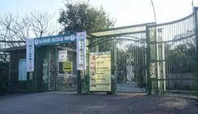 Sajjangarh Parking Area
