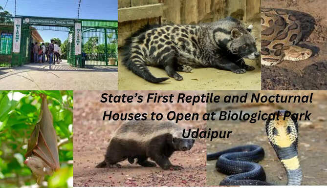 Reptile and Nocturnal House