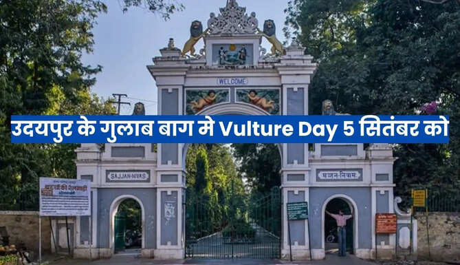 Vulture Day at Gulab Baag