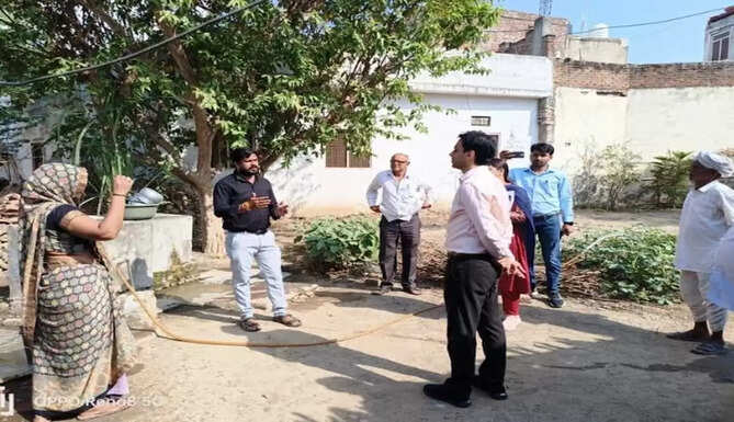 collector visit jhadol
