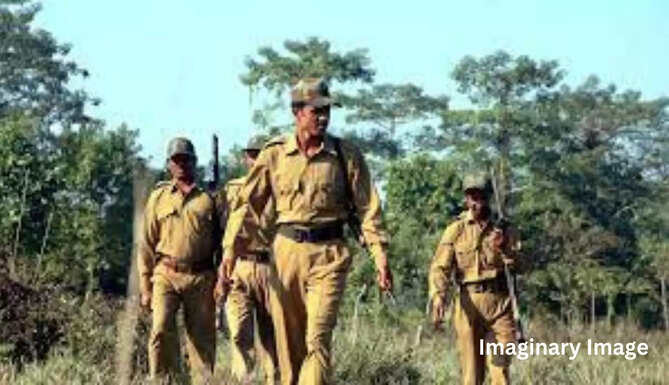 Forest Workers