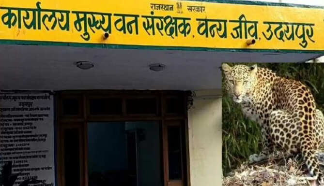 वन्य