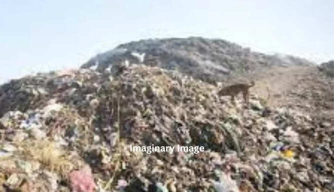 dumping yard