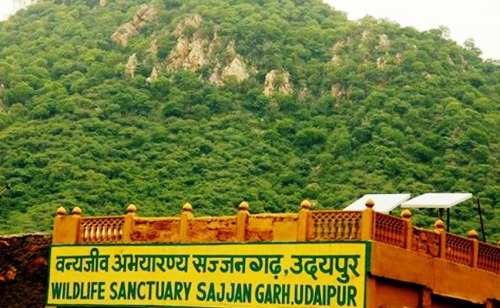 आम पर्यटकों के लिए 8 जून से खुलेंगे सज्जनगढ़ स्थित बायोपार्क व वन्यजीव अभयारण्य