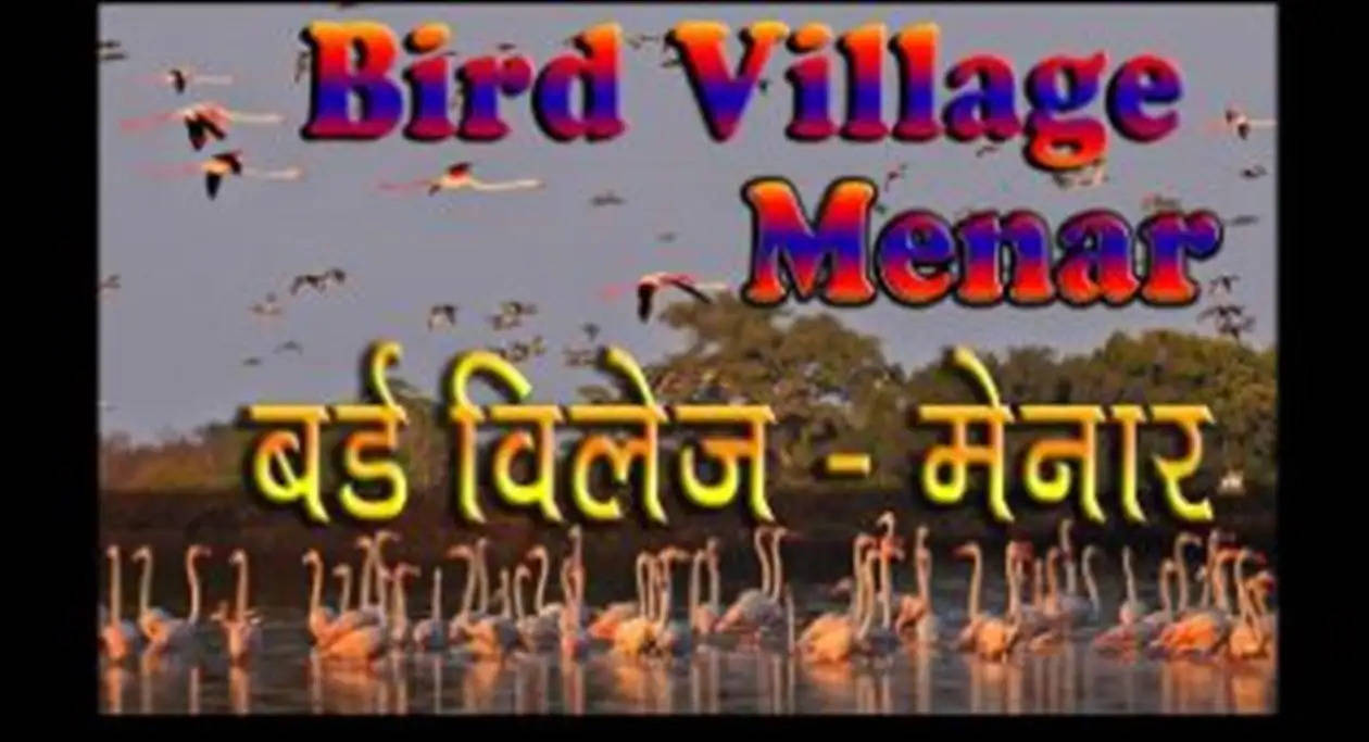 bird village menar 